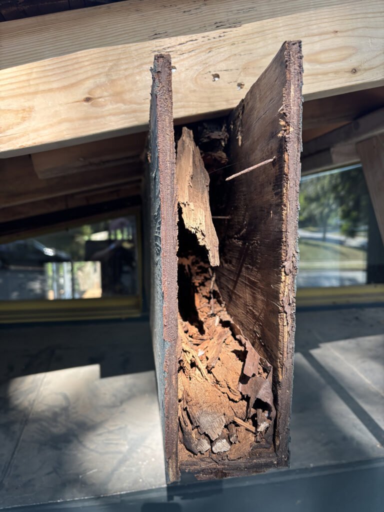 Beam Decay